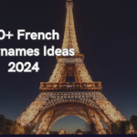 410+ French Usernames Ideas 2024