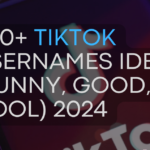 250+ Tiktok Usernames Ideas (Funny, Good, Cool) 2024