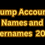 850+Dump Account Names And Usernames Ideas 2024