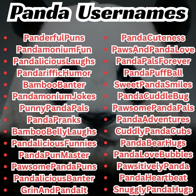 Cute and funny Panda Usernames
