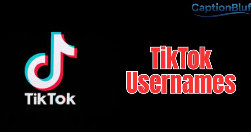 300+ TikTok Usernames That Are Catchy and Creative
