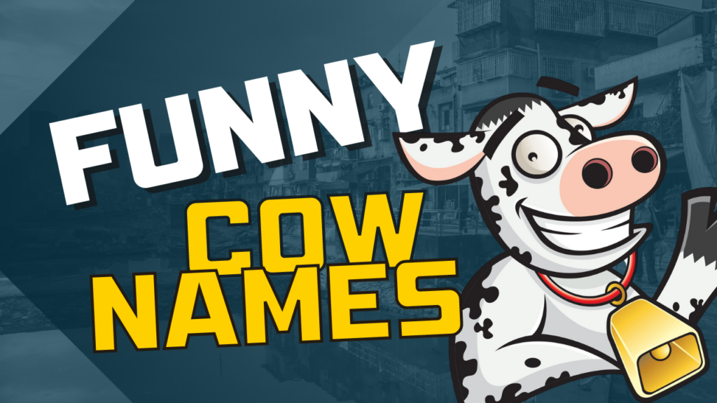 850+ Cute and Funny Cow Names [Cow Pun Edition] 2024