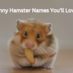 500+ Creative & Funny Hamster Names You’ll Love! 2024