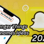 Funny Snapchat Private Story Names (Make Your Friends LOL) 2024
