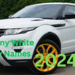 Funny White Car Names (400+ Creative & Hilarious Inspirations) 2024