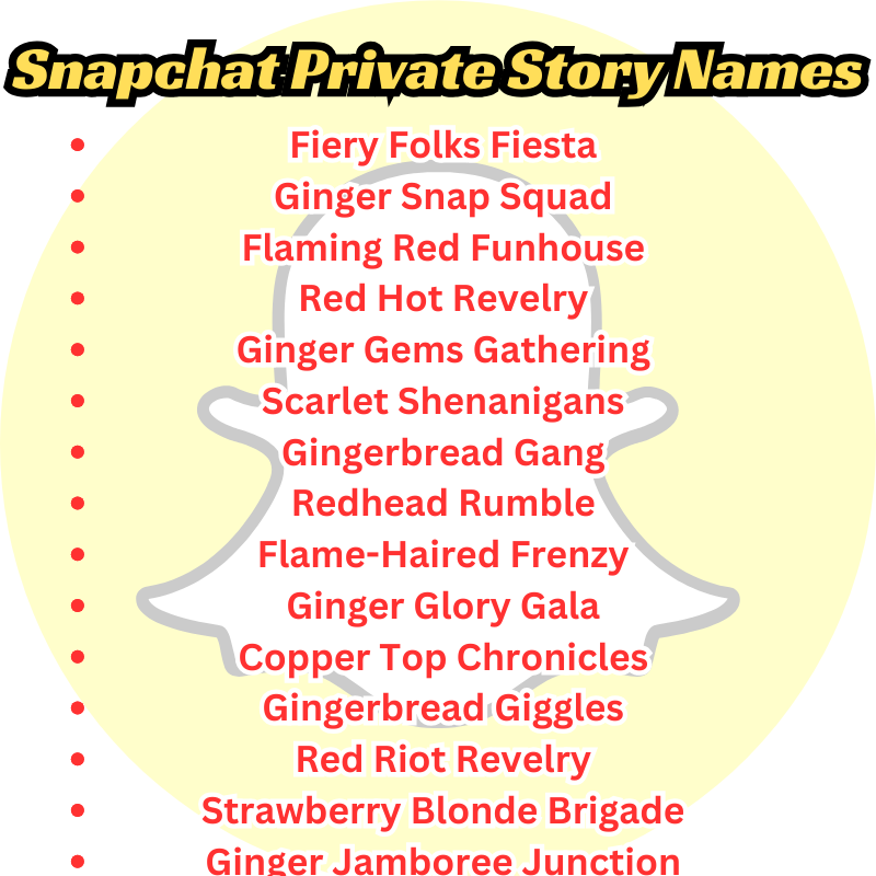 Funny Snapchat Private Story Names For Gingers 