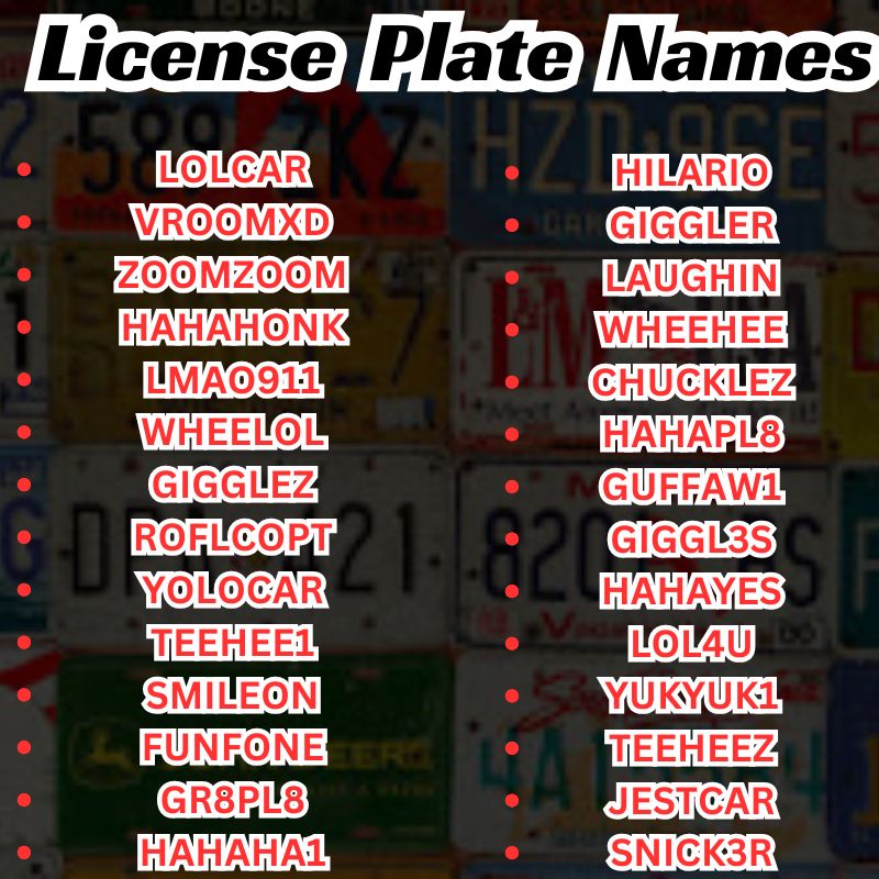 Best Funny License Plate Names