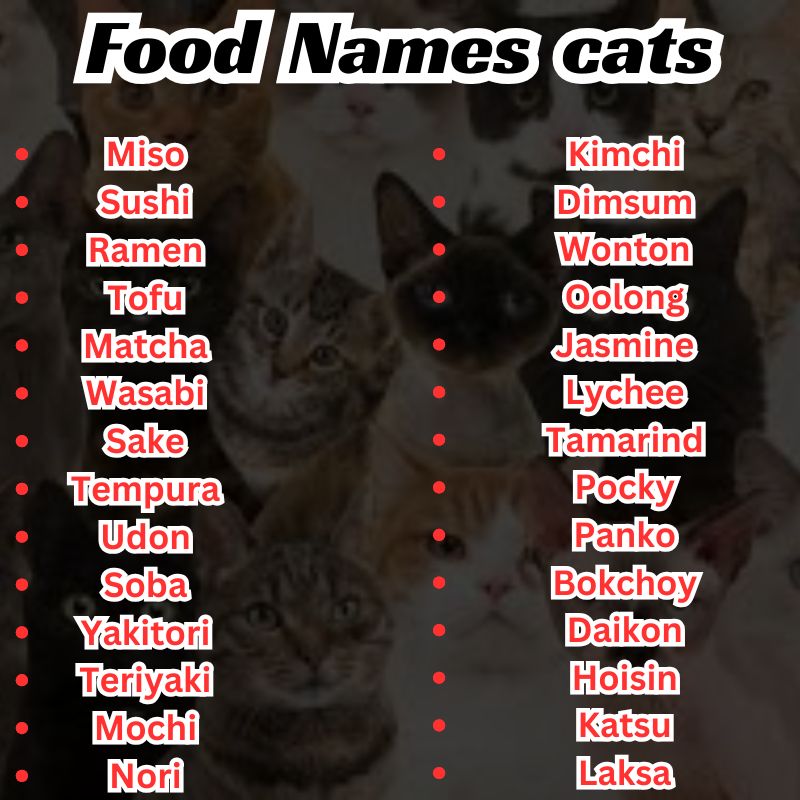 Food names for black cats