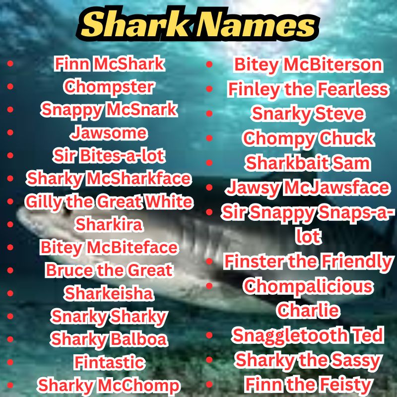 Funny Shark Names (490+ Ideas That Will Make Waves)