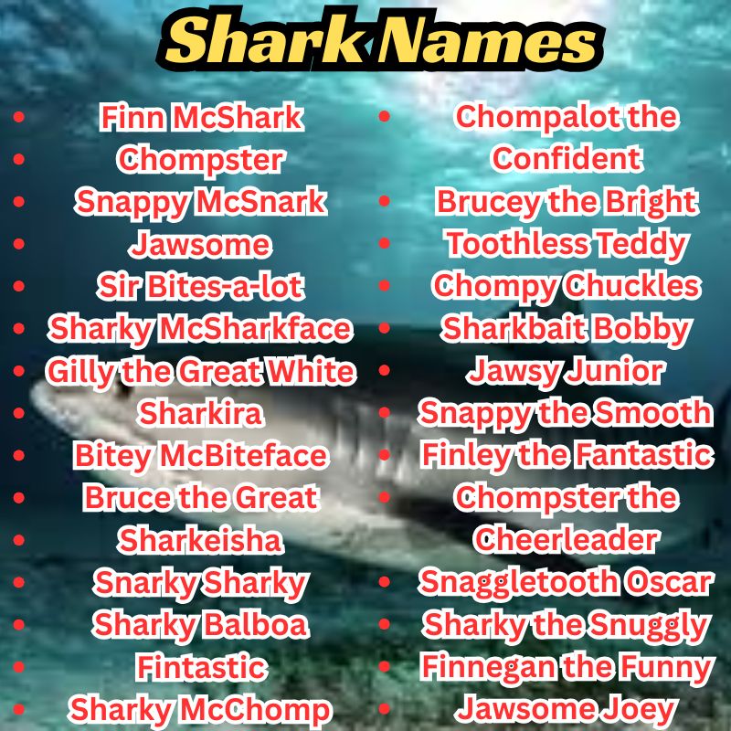 Funny Shark Names (490+ Ideas That Will Make Waves)