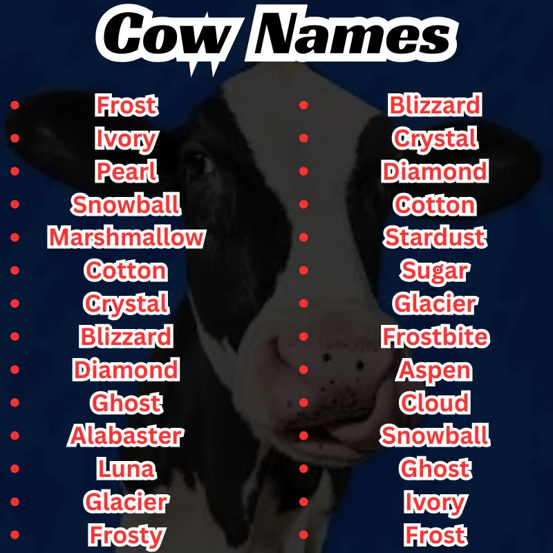 Funny Cow Names That Are Hilarious and Cute