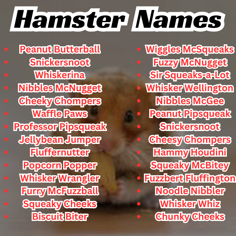Funny Hamster Names