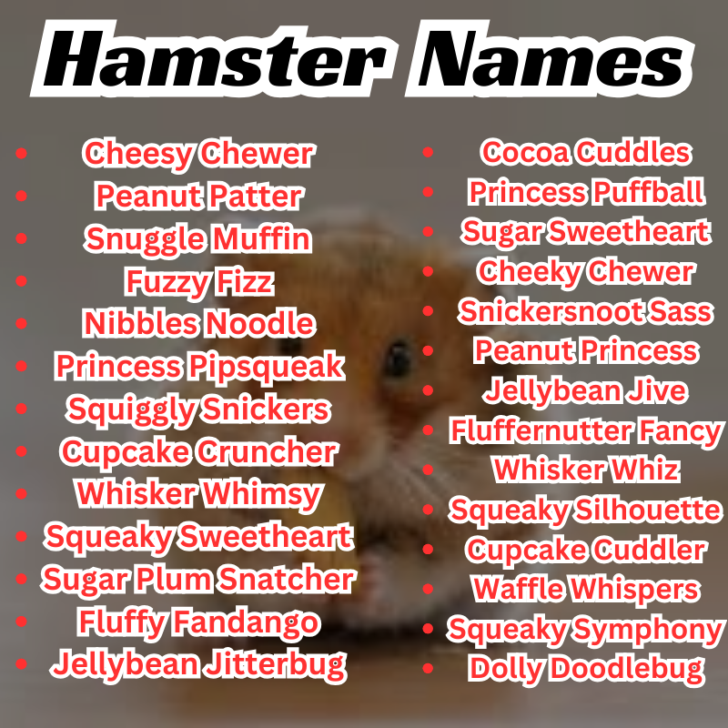 Funny Hamster Names Girl