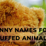 580+Funny Names For Stuffed Animals (Cute and Unique Ideas) 2024