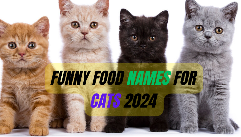 1290+Funny Food Names for Cats 2024