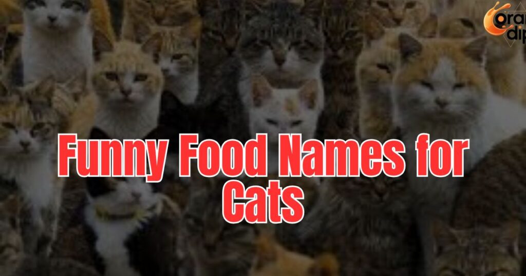 1290+ Funny Food Names for Cats That Are Sweet