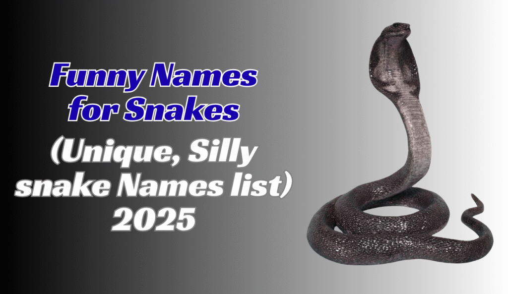 Funny Names for Snakes (Unique, Silly snake Names list) 2025