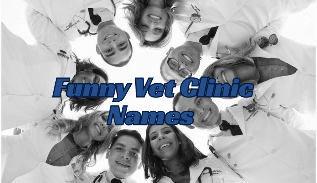 Funny Vet Clinic Names (Clever, Cool and Unique Ideas) 2025