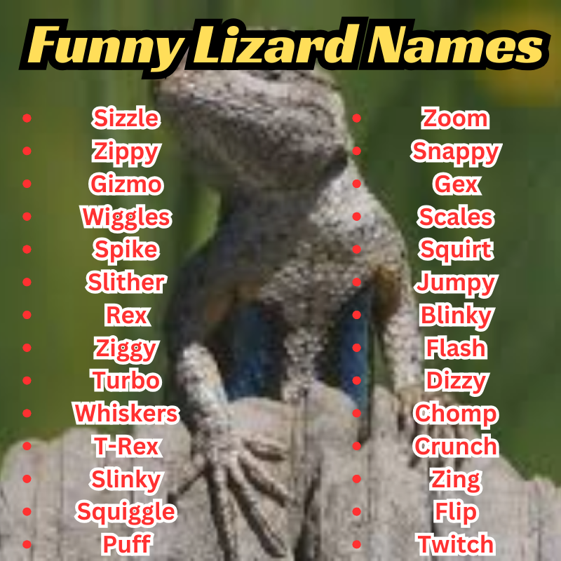 Funny Lizard Names