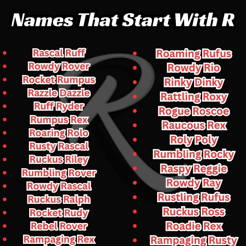 Funny Dog Names That Start With R