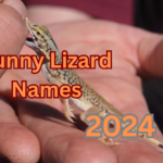Funny Lizard Names (500+ Hilarious Ideas for Your Scaly Pal!) 2024