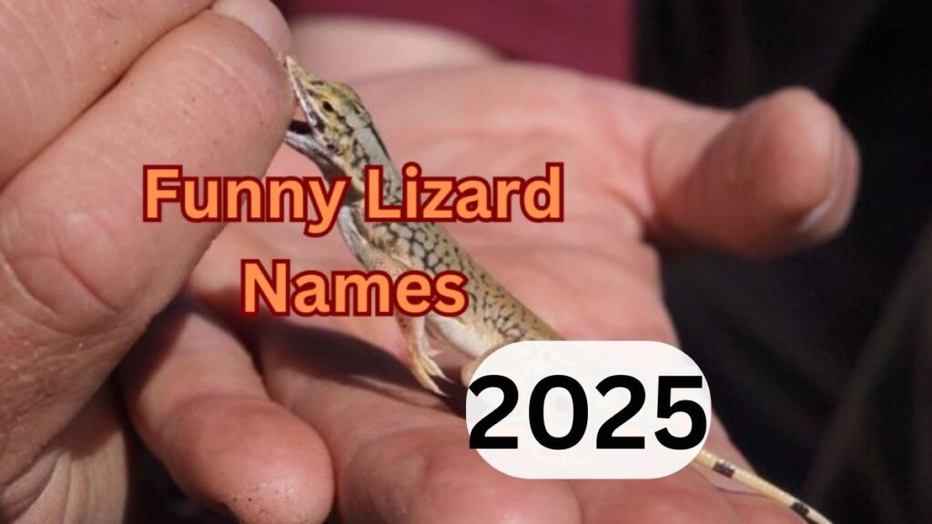500+ Funny Lizard Names: Hilarious Ideas