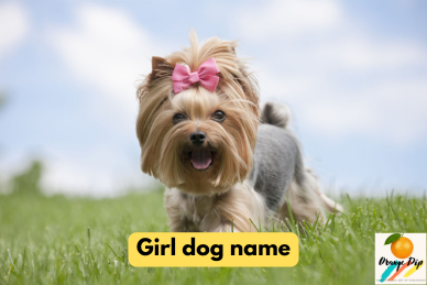 girl dog name