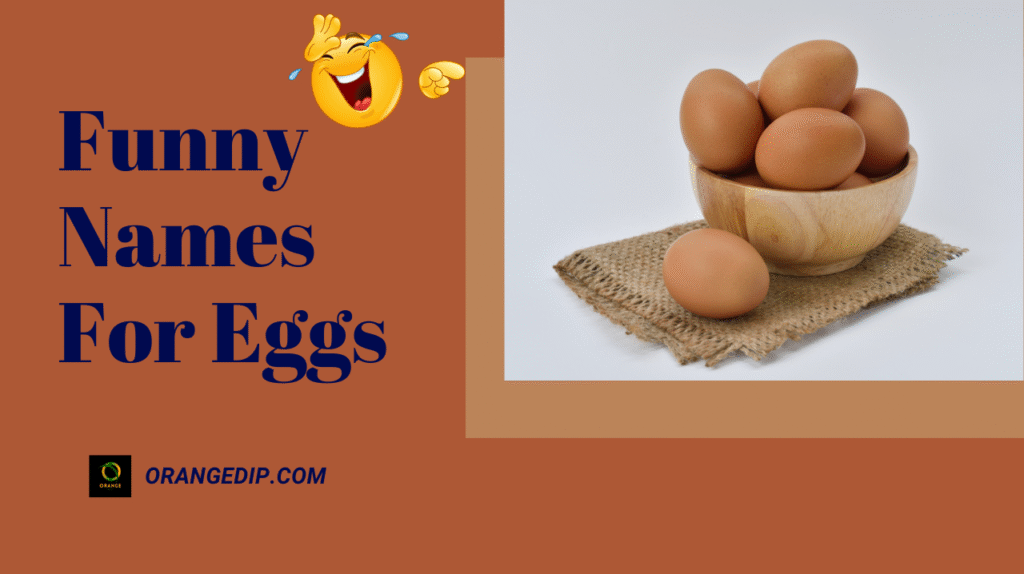 400+ Funny Names For Eggs 2025