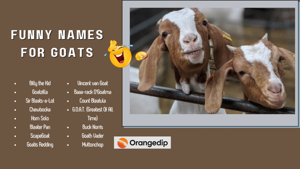 400+ Hilarious and Creative Funny Names for Goats 2025