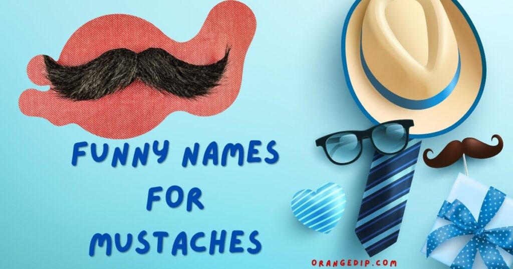Funny Names for Mustaches