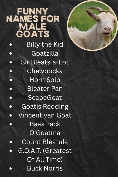Funny Names For Male Goats