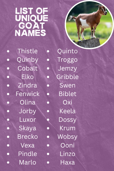 List Of Unique Goat Names