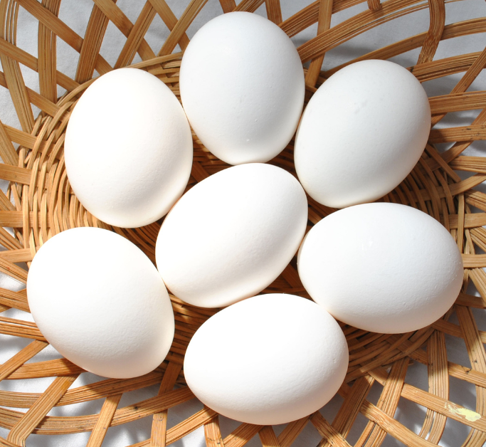 Best Names For Eggs