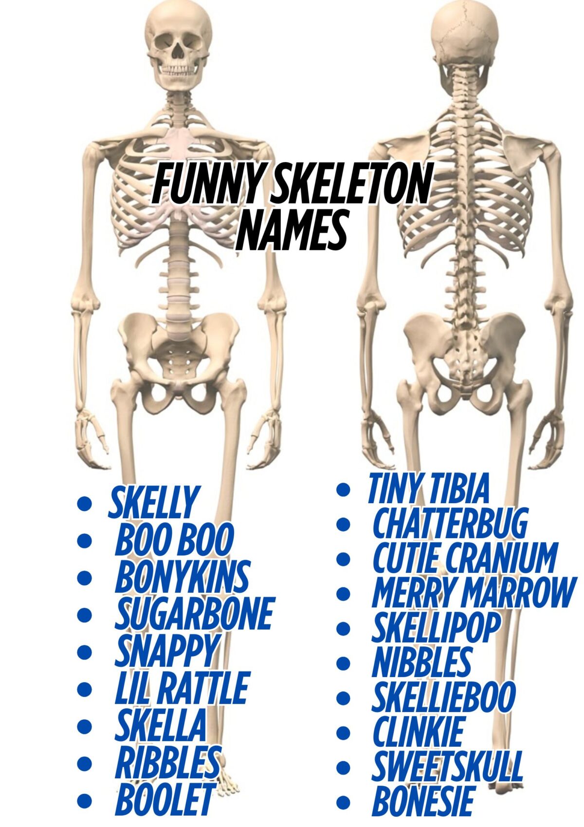 800+ Funny And Hilarious Skeleton Names 2025