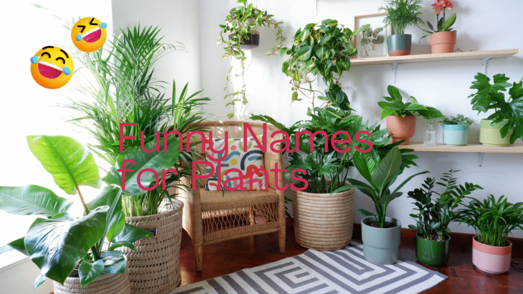 400+ Funny Names for Plants That’ll Make You Laugh Out Loud 2025