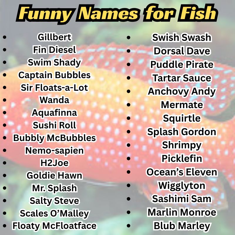 Comedic underwater scene with fish lined up like a talent show, each with a punny name