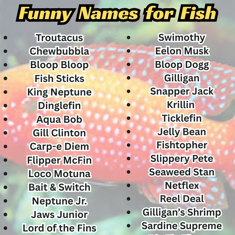 Cartoon-style fish with name tags like “Swim Shady” and “Fin Diesel”