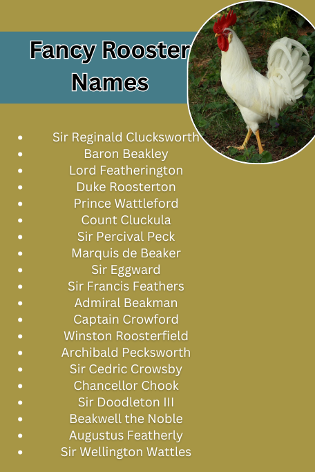 Fancy Rooster Names