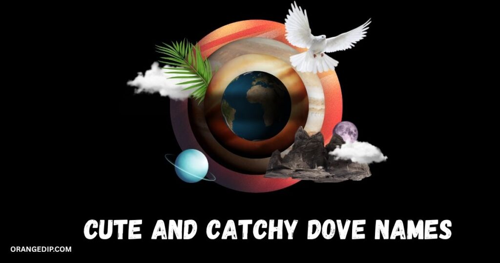 Cute And Catchy Dove Names