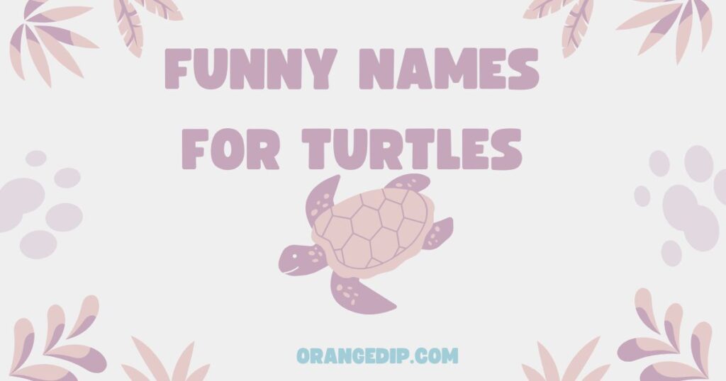 FUNNY NAMES FOR TURTLES