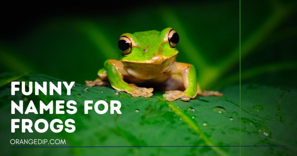 Funny Names For Frogs