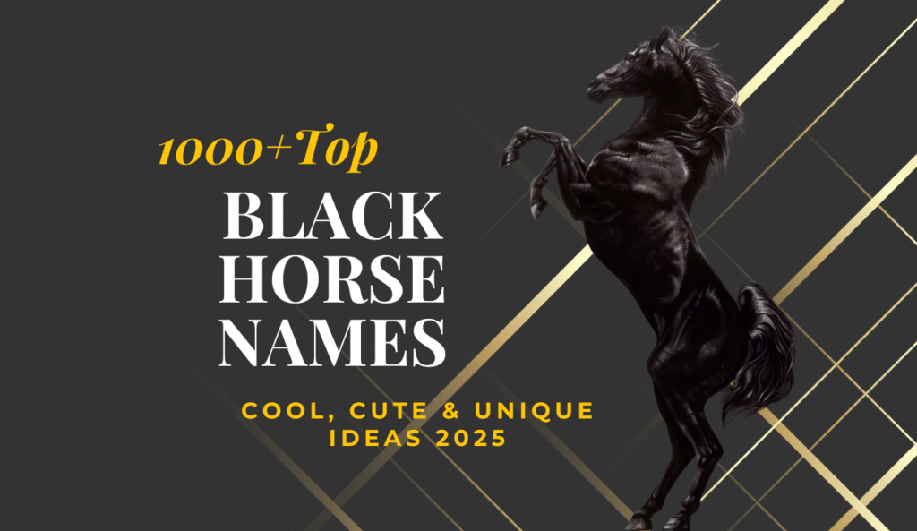 1000+Top Black Horse Names: Cool, Cute & Unique Ideas 2025