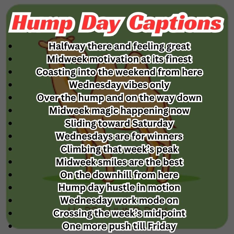 Best Hump Day Captions
