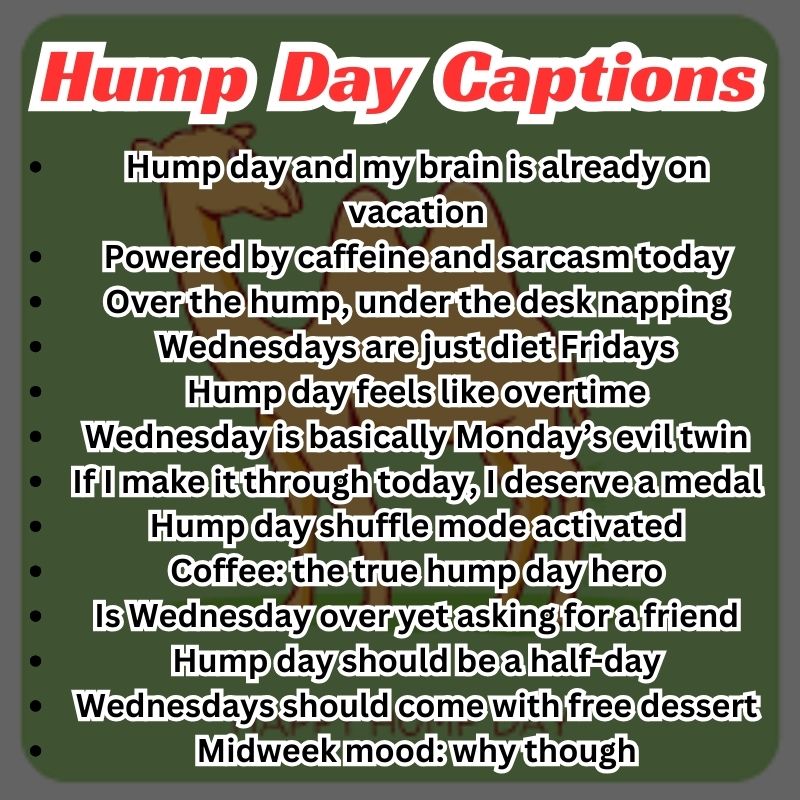 Funny Hump Day Captions