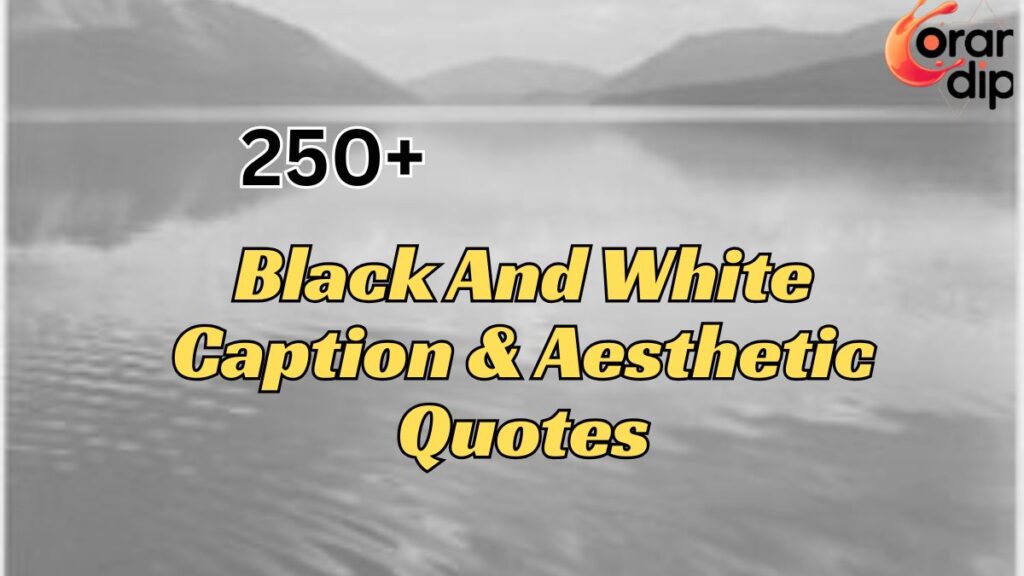 250+ Black And White Captions & Aesthetic Quotes