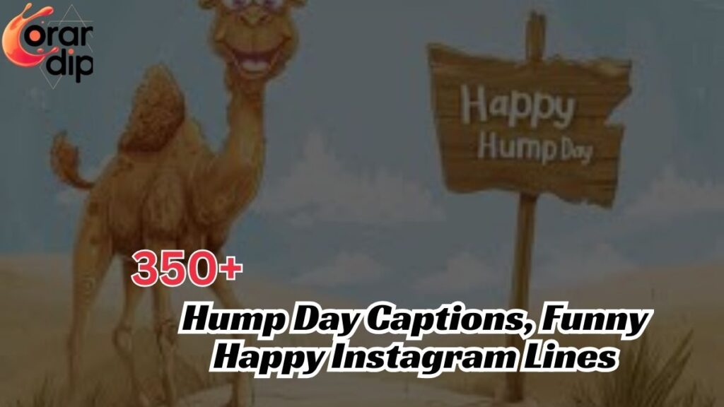 350+ Hump Day Captions, Funny Happy Instagram Lines