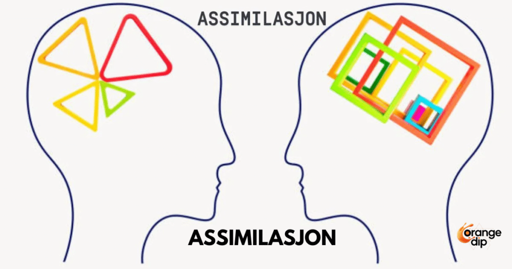 Hvordan fungerer assimilasjon i norsk uttale og hvilke typer finnes