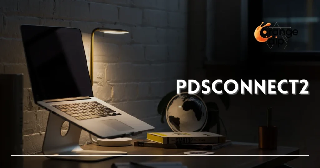 How Does Pdsconnect2 Help in Payroll and HR Management