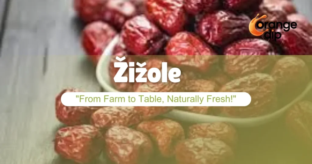 How Can Žižole Improve Your Health and Daily Nutrition