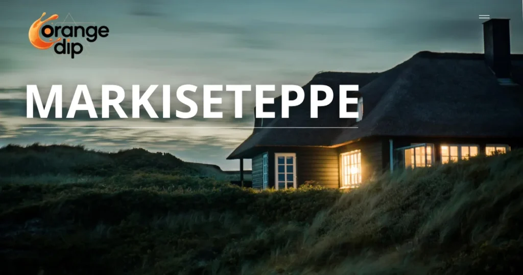 What Is Markiseteppe and Why Choose Outdoor Awning Rugs
